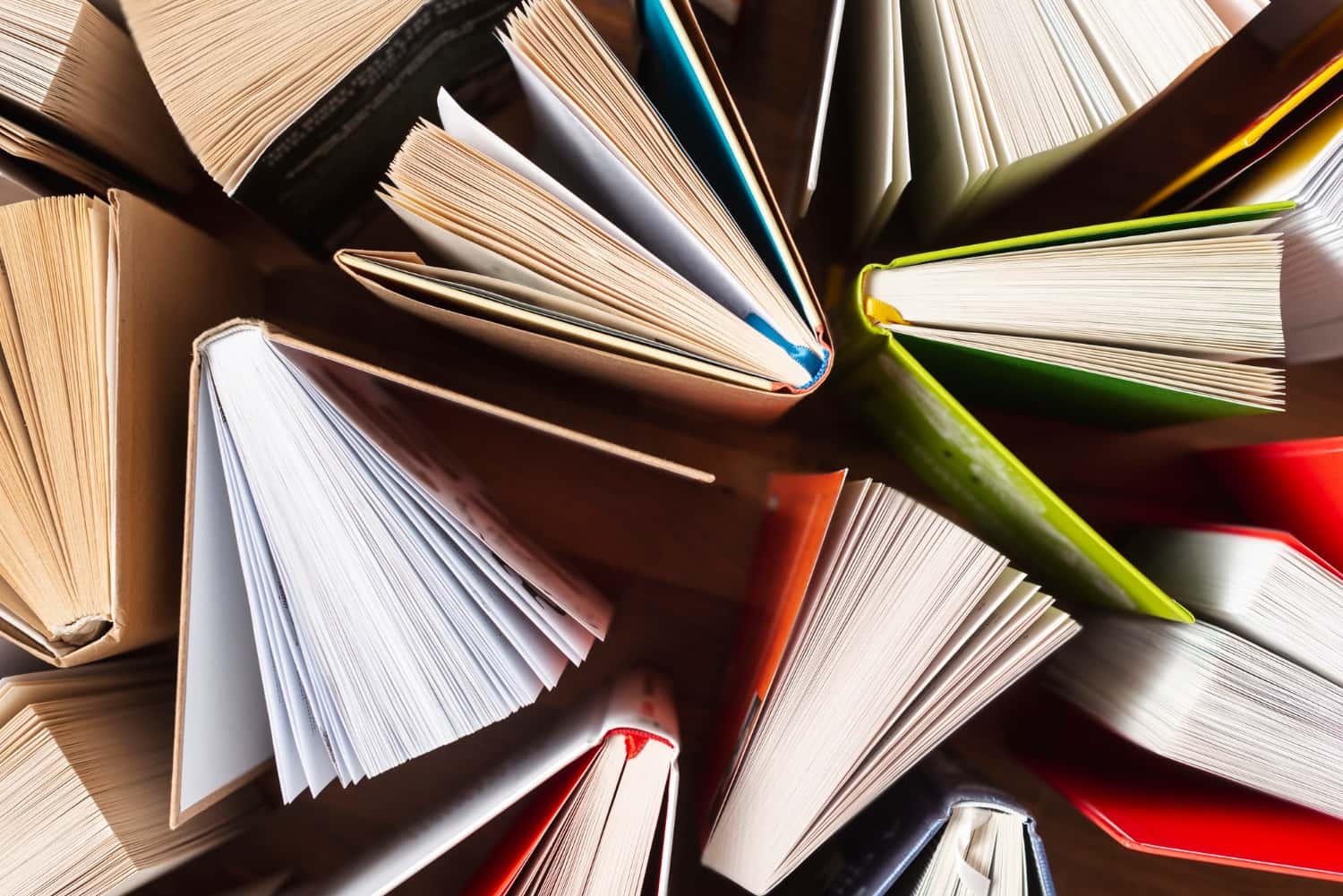 Felipe Miranda lista 7 livros essenciais para quem quer aprender a investir e o mercado financeiro