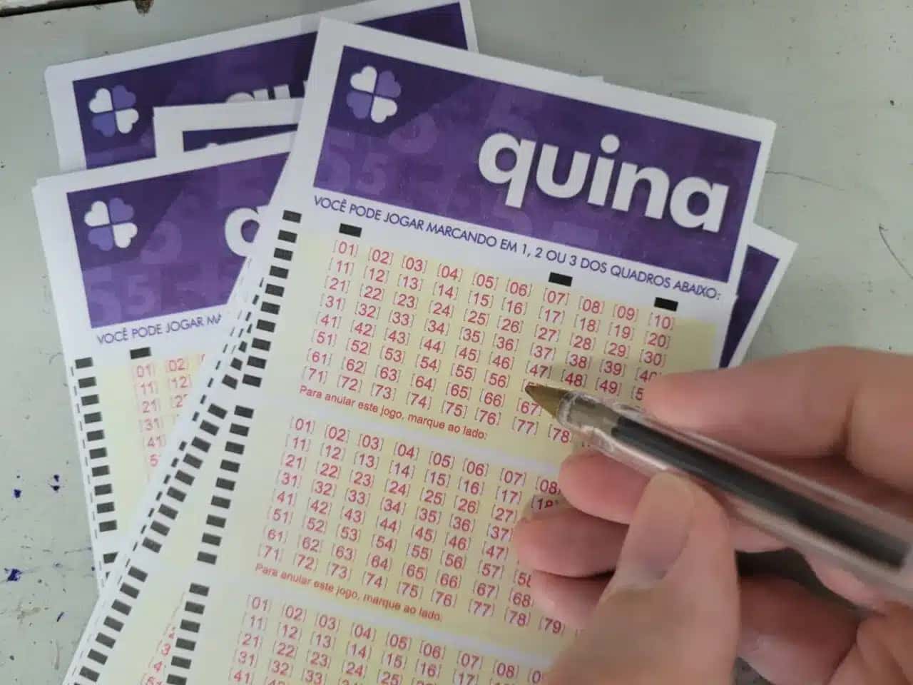 Quina: Números Sorteados Concurso 6896 em São Paulo – R$ 6,2 Milhões!