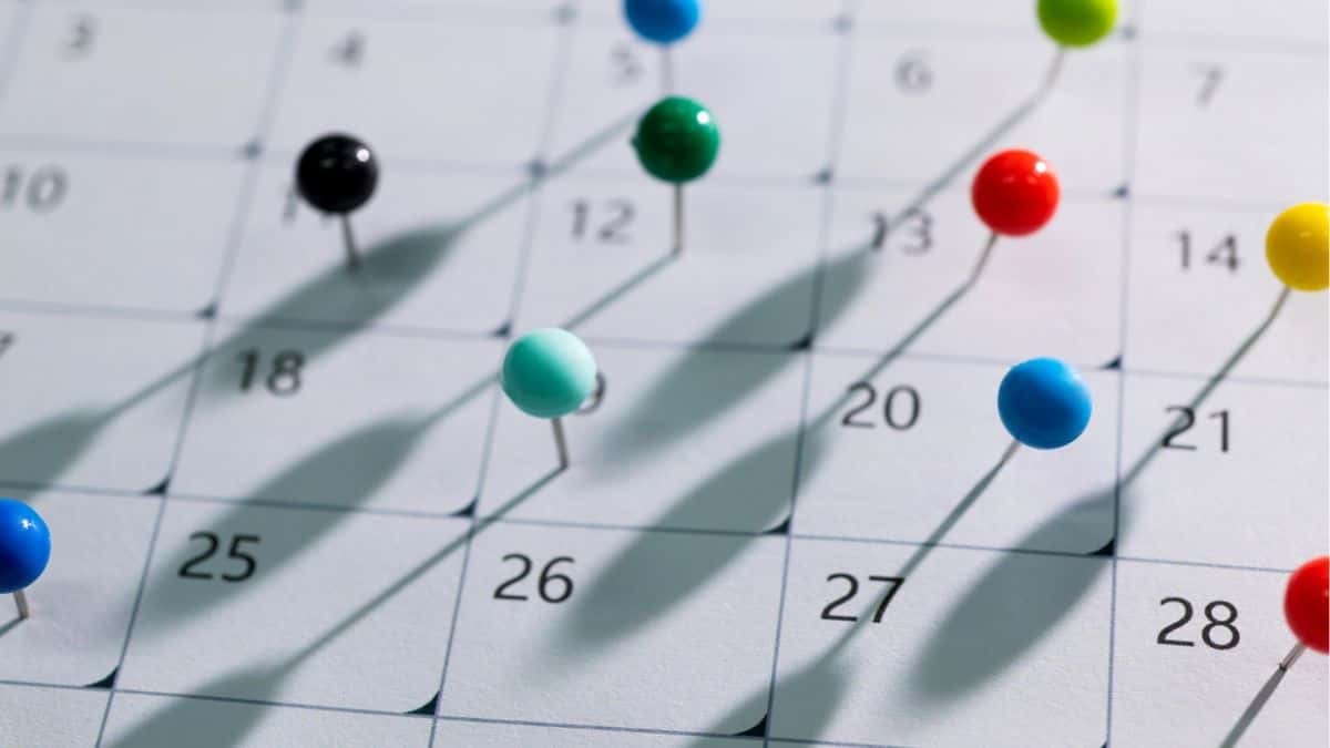 Axia, CSU Digital, Grazziotín e outras ações revelam seus dividendos de 2025!
