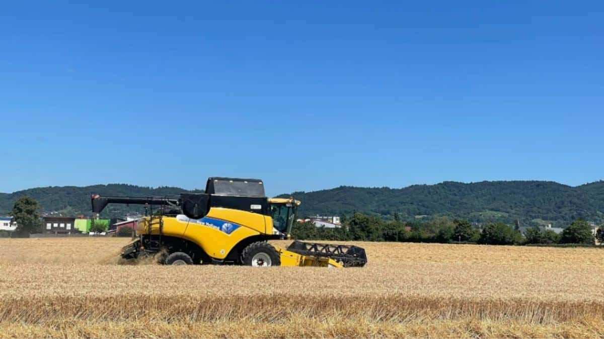 SLC Agrícola distribui dividendos recordes e bonifica ações para acionistas