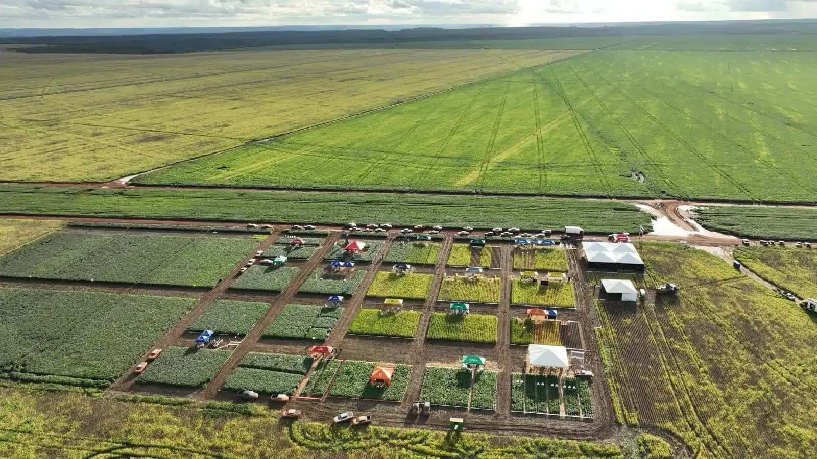 XP Investimentos Revela Análise Agronegócio: Resultados Mistas e Mudanças nos Alvos!