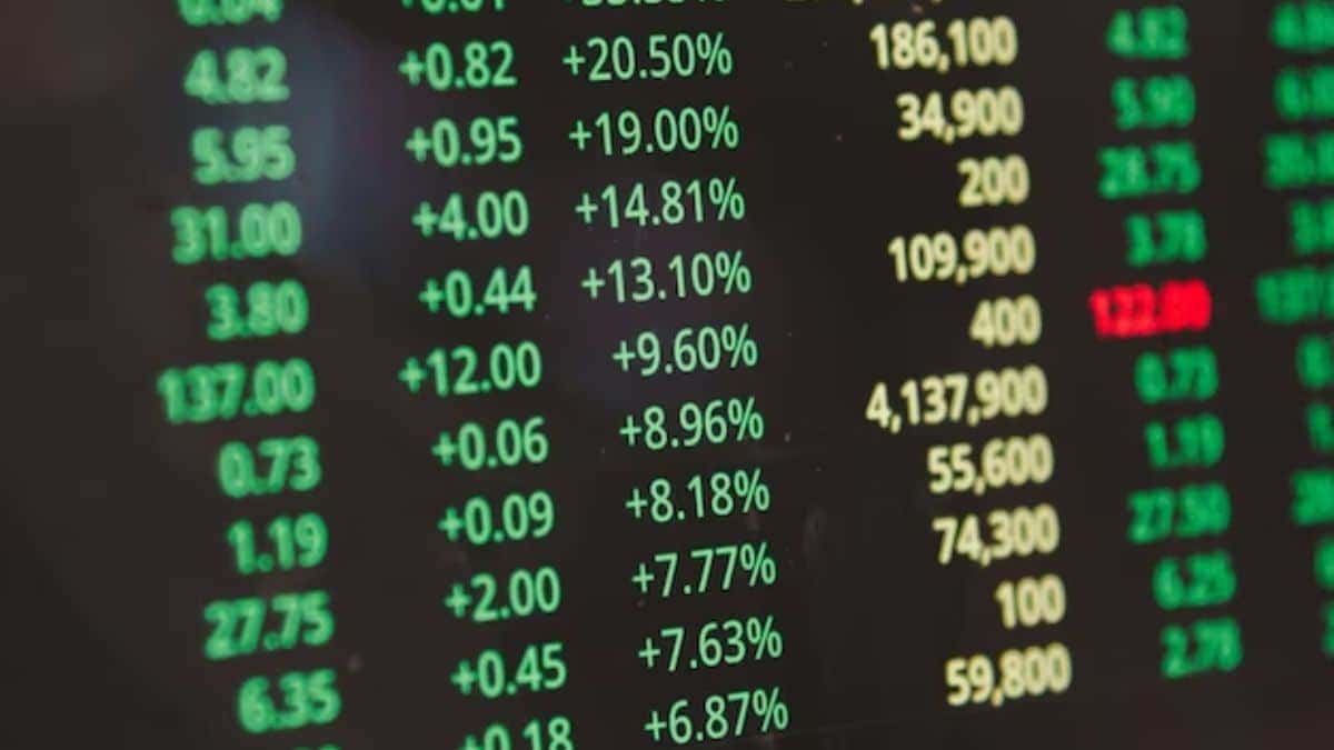 Empiricus: Larissa Quaresma Apresenta Carteira de Investimentos para 2026