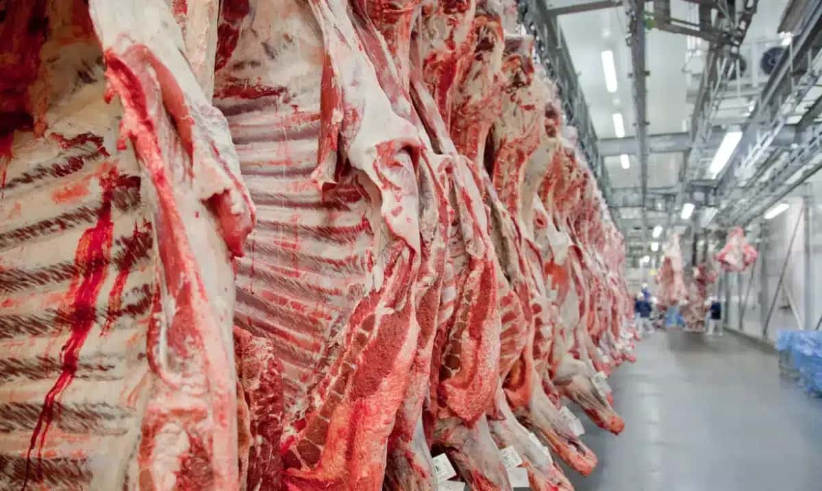 China muda regras tributárias e lança incentivos para aumentar natalidade em Hong Kong