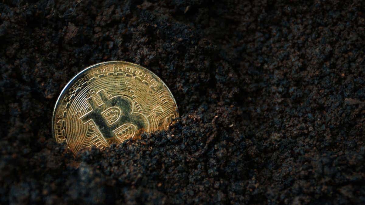 Bitcoin em Crise: “Ouro Digital” Desilude e Memecoins Surgem como Nova Aposta!