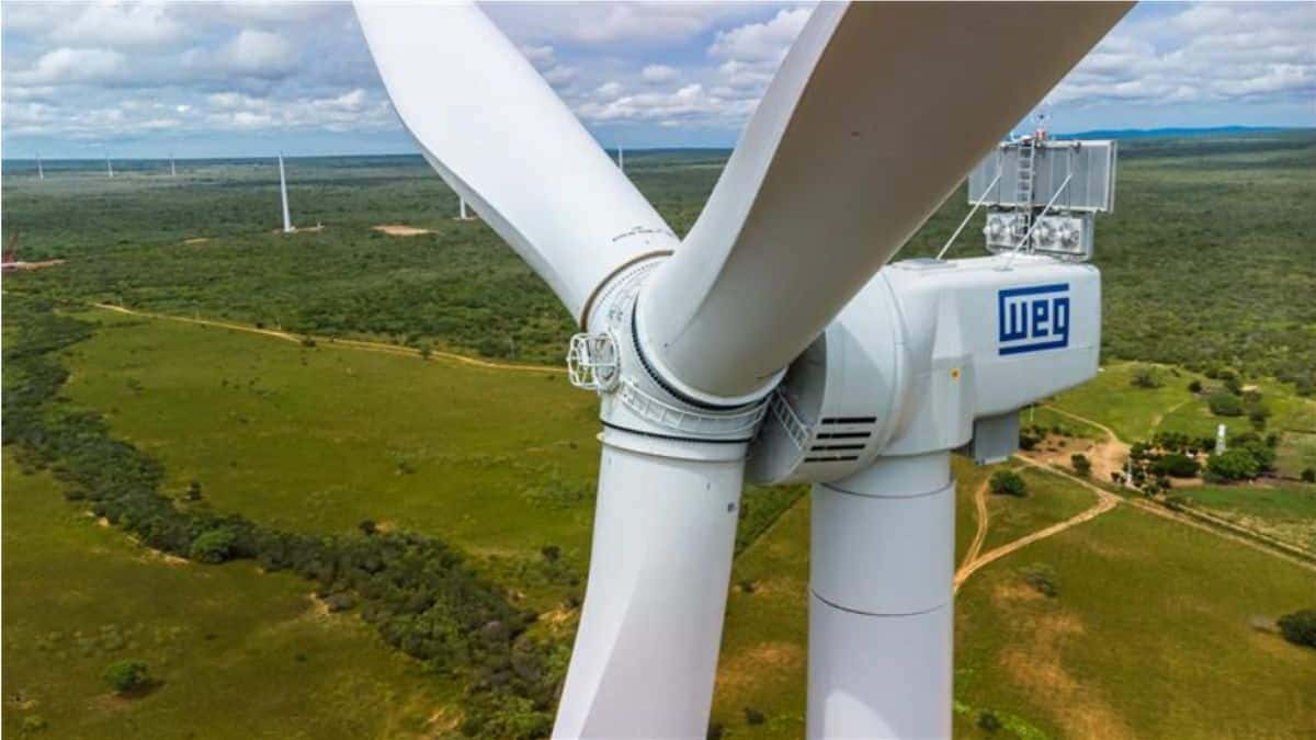 Weg Surpreende Mercado: Resultados de 2025 Mostram Resiliência e Crescimento!