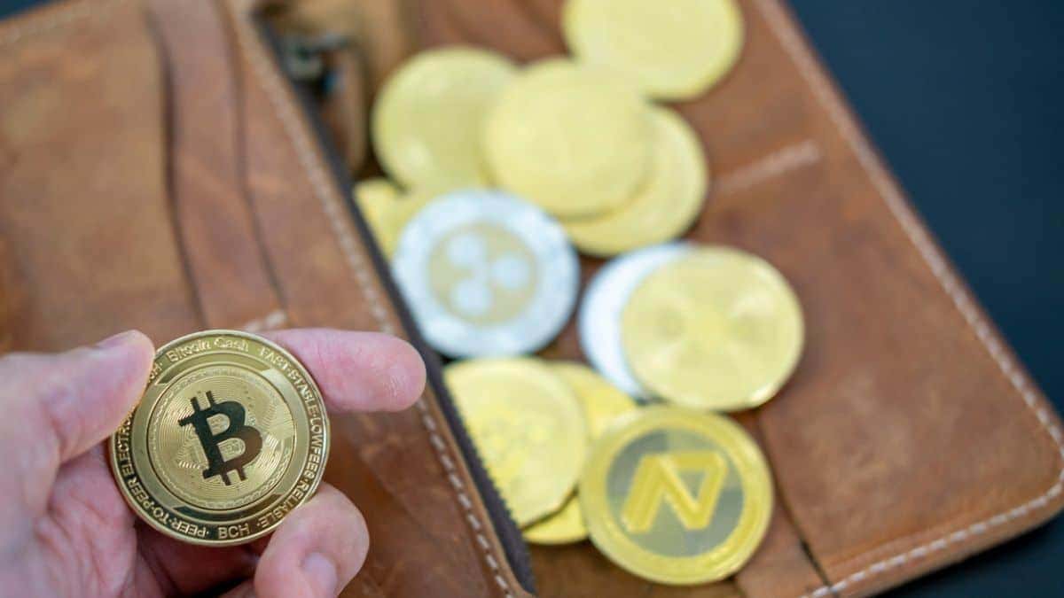 Hernandes Nogueira: Bitcoin Pode Dobrar Lucro em 12 Meses – Oportunidade Única!