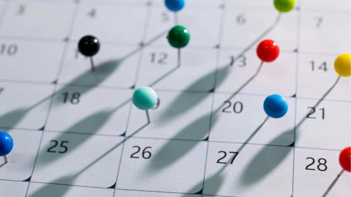 Dividendos na Bolsa: Calendário Completo para Maio de 2026!