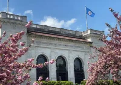 Imagem card com fundo