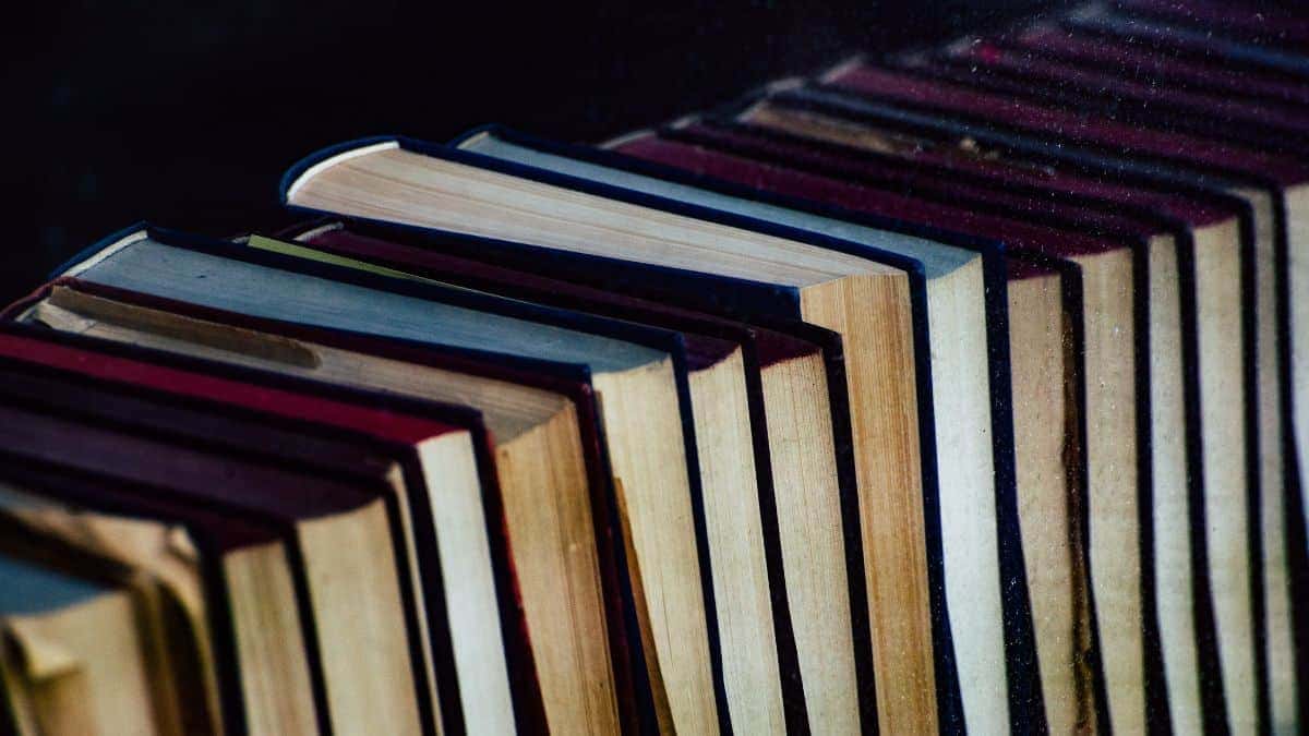 Recomendações de leitura para 2026: livros de Caio Mesquita e especialistas