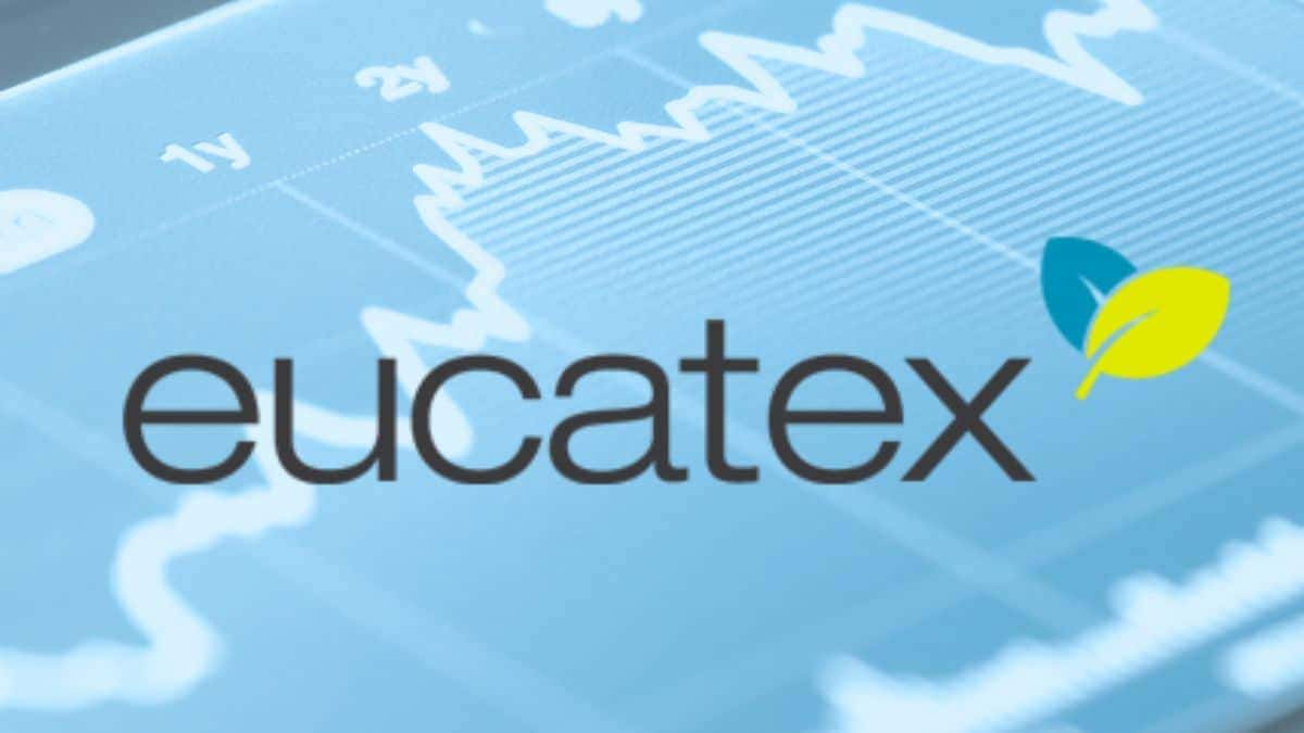 Eucatex: Resultados Robustos e Vantagem da Base Florestal Impulsionam Crescimento