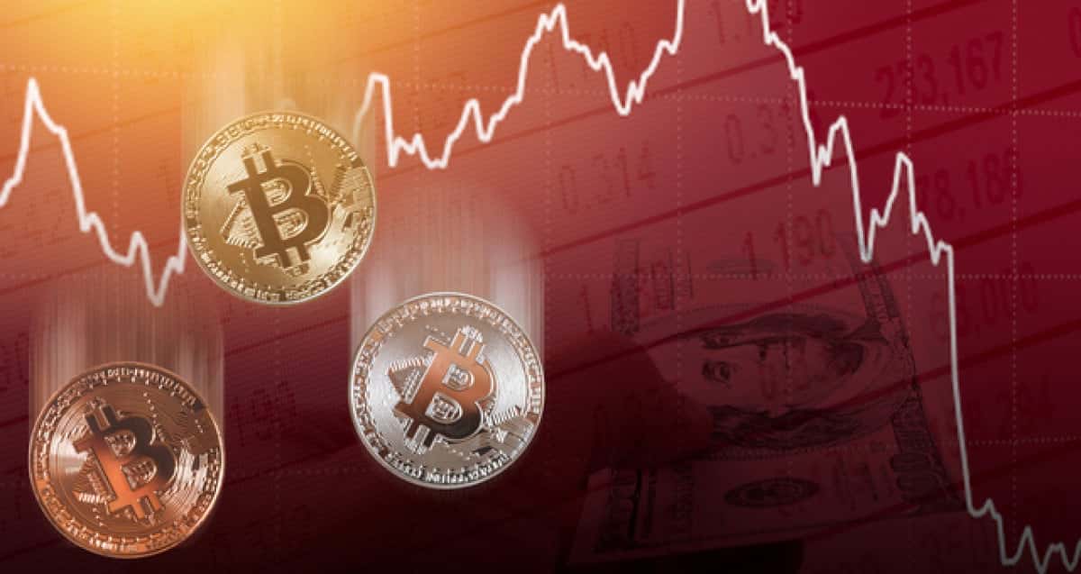 Bitcoin em Queda Livre: Memecoins e a Nova “Caça ao Tesouro” no Bear Market