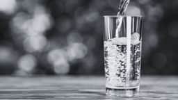 Investidores estrangeiros impulsionam mercado: o que move a Bolsa e o dólar?